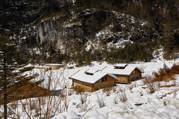 _DSC7369 1