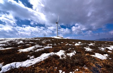 _DSC6878 1