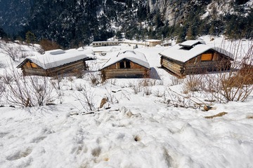 _DSC7371 1