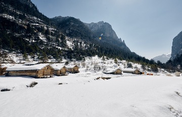 _DSC7375