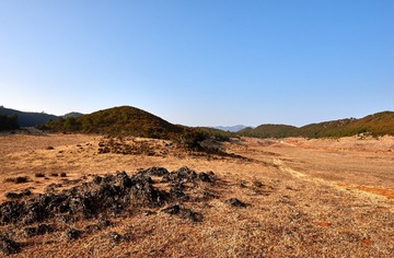 _DSC7100