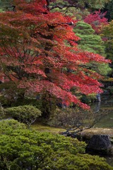 japan178.jpg
