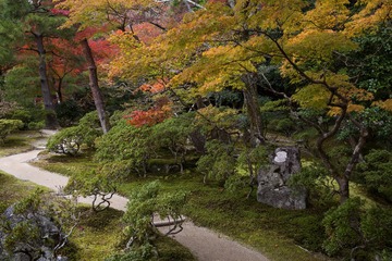japan228.jpg