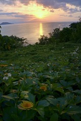 DSC00670.jpg
