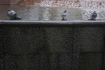 DSC00124.jpg