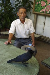 DSC00767.jpg