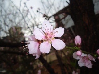 6C9FC604-AD8B-4799-9FD1-7285B0322156/L0/001