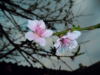 3DED22F0-071F-4B2C-AC2E-383A66094B0A/L0/001