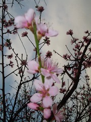 79160AFF-0D62-43BF-832C-89FAD9B19458/L0/001