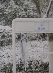 C95DC70F-CA58-48B9-AC12-4E71BEEE99D5/L0/001