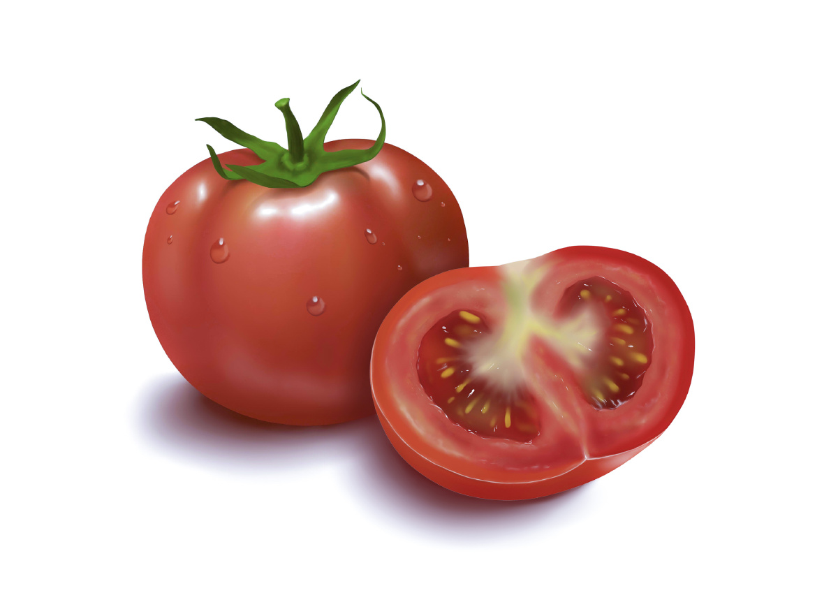 番茄插画