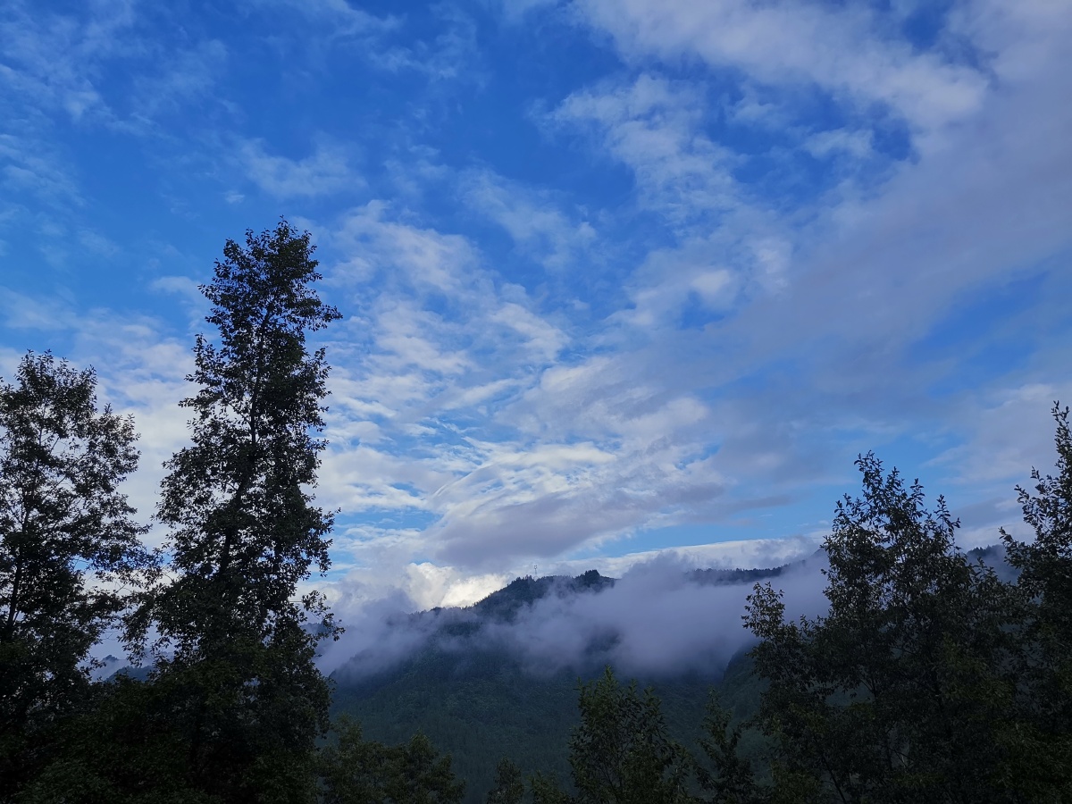 雨后空气好清新
