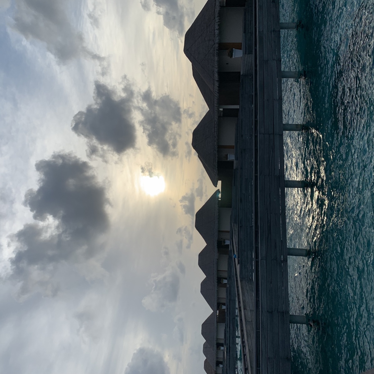 红鲤鱼绿鲤鱼与驴269