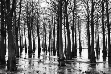 _MG_5962bw