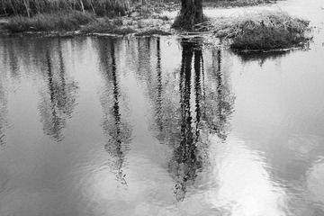 _MG_6094bw2