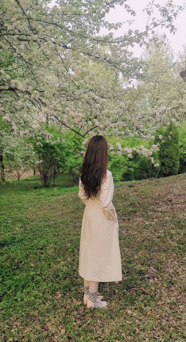 杜梨树下的背影