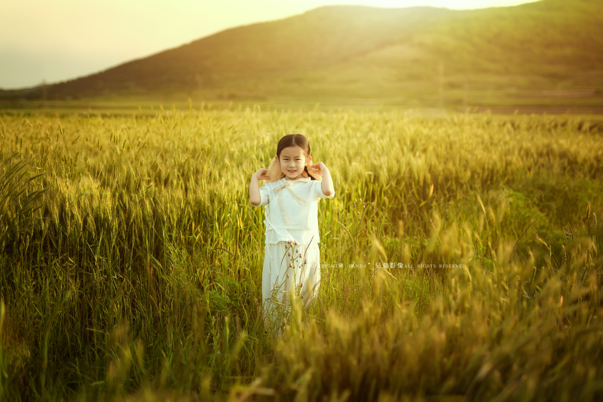 麦田里的小姑娘