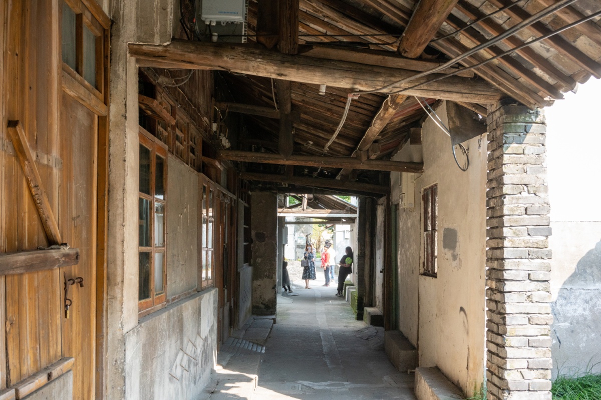 嘉善丁栅老街——《乘风破浪》取景地 - 鹦鹉小窝 - 图虫