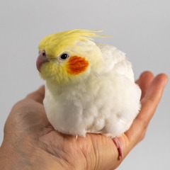 87749