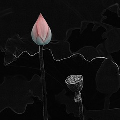 001