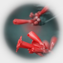 A728F72A-C14F-4571-BA3A-3E6D2D54734A/L0/001