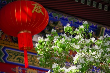 04B6D9EC-473D-4958-9C1E-77ECE7E1D92C/L0/001