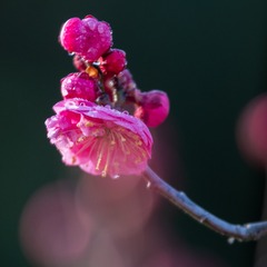 893337B8-D506-4322-A5B8-2FFB0D0CA739/L0/001