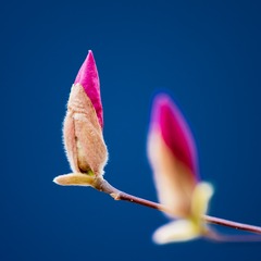 EB189BF6-9D16-40DF-A7CE-C37688495A49/L0/001