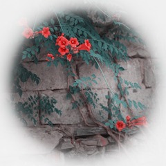0989172F-15AF-4236-BCB7-BD39265AD2A7/L0/001