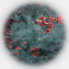 BC78A57C-1044-4317-9FE3-E1A64A58AC59/L0/001