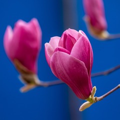 6AAF251E-C3B8-4CC4-9ACA-5923C2ED949D/L0/001