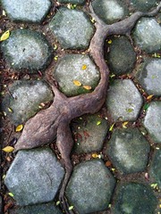 IMG_20160802_235117