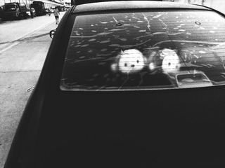 IMG_20160910_064146
