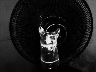 IMG_20160916_111257