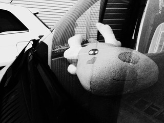IMG_20160918_071505