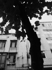 IMG_20160928_072945