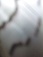 IMG_20160930_123000