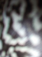 IMG_20160930_123112