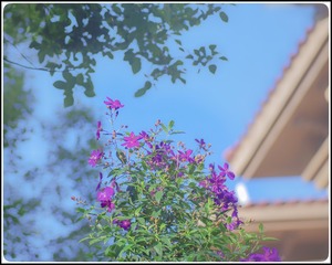 AAB10047-21E0-45F4-A291-1D81FF832B44/L0/001