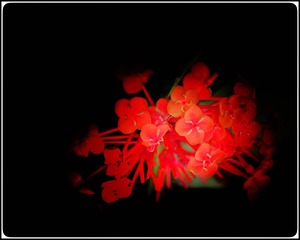 8A2C057E-F022-4EE5-87A6-D88275EB4F51/L0/001