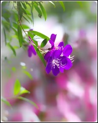 08CF671A-99CB-438F-8910-781F84AD9F3D/L0/001