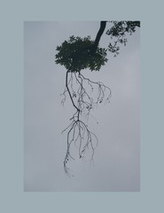 放松才是放下最好的姿态