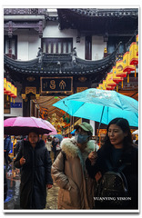 “封城”前后43