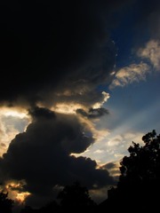 20120806?????? IMG_5969