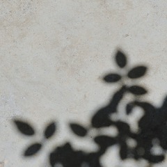 50F75861-E63D-47E2-9B3A-64C86511CCB8/L0/001