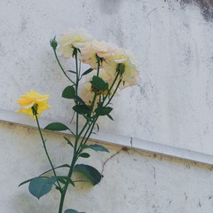 447E54F9-31F6-404D-9BEA-8354AB4C967D/L0/001