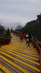 2758275