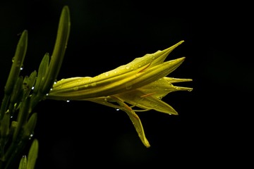 63607