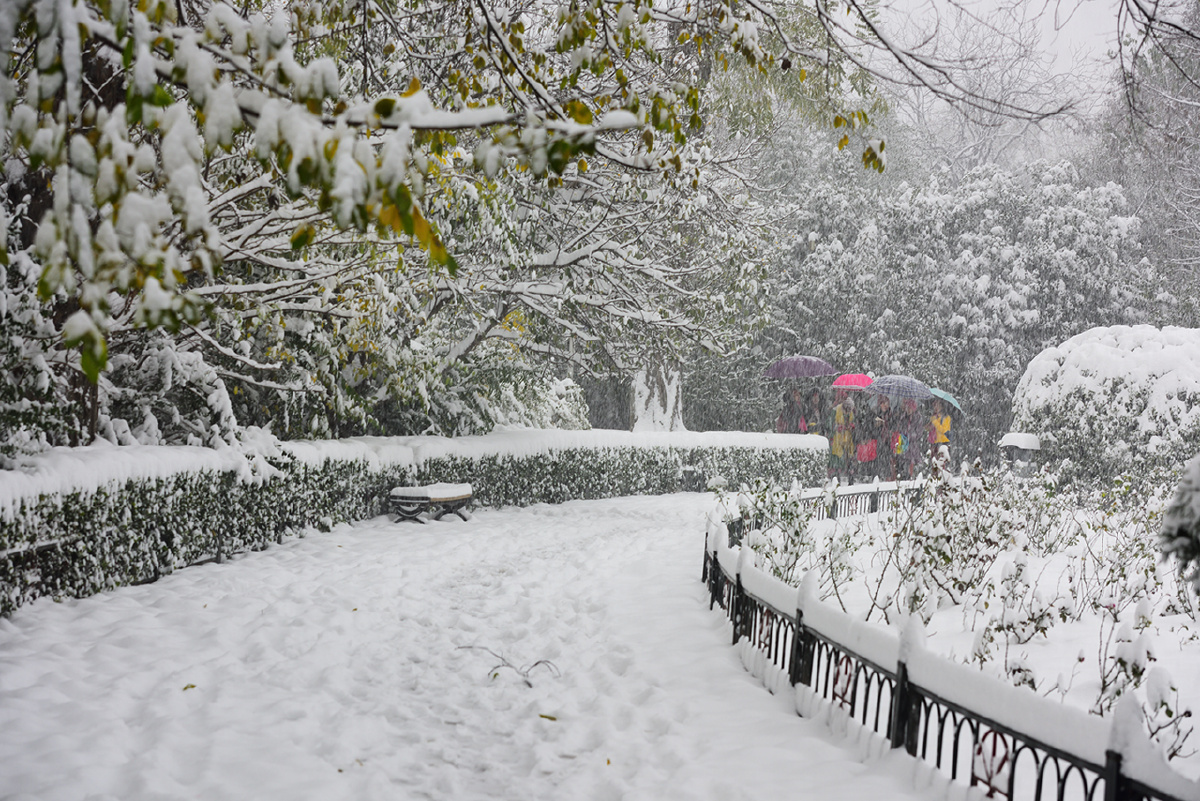 一场飘飘洒洒的大雪,遇上了斑斓的秋末,让秋天结束在一幅幅