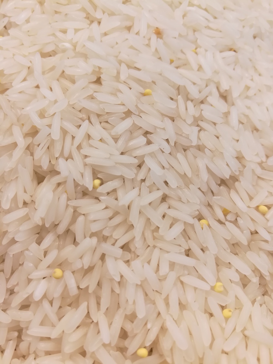 各种大米晶莹剔透